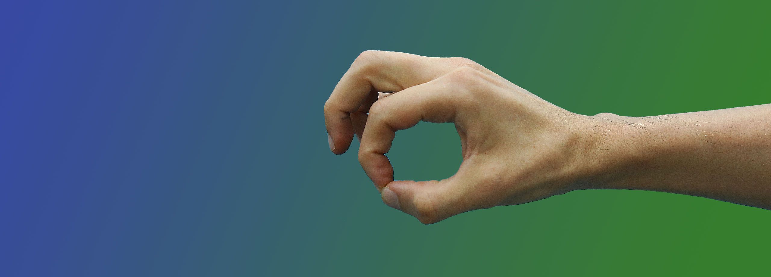 Curso Básico Bi-Digital O-Ring Test 2026